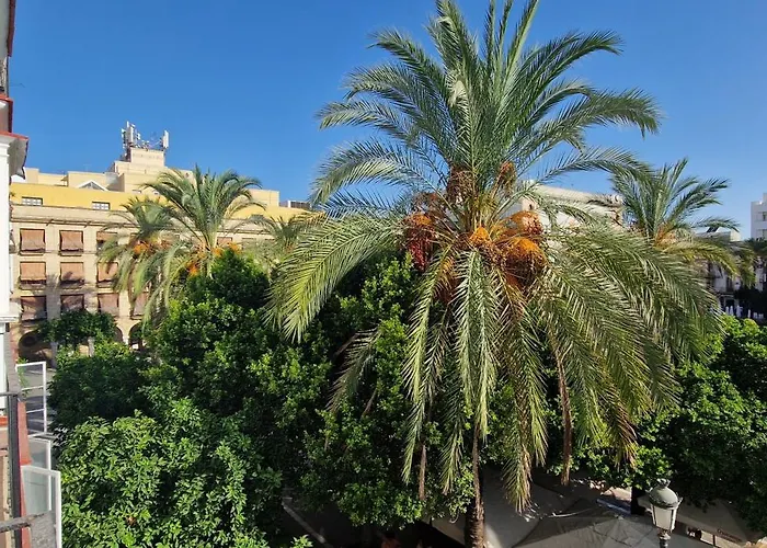 Apartamentos Arenal